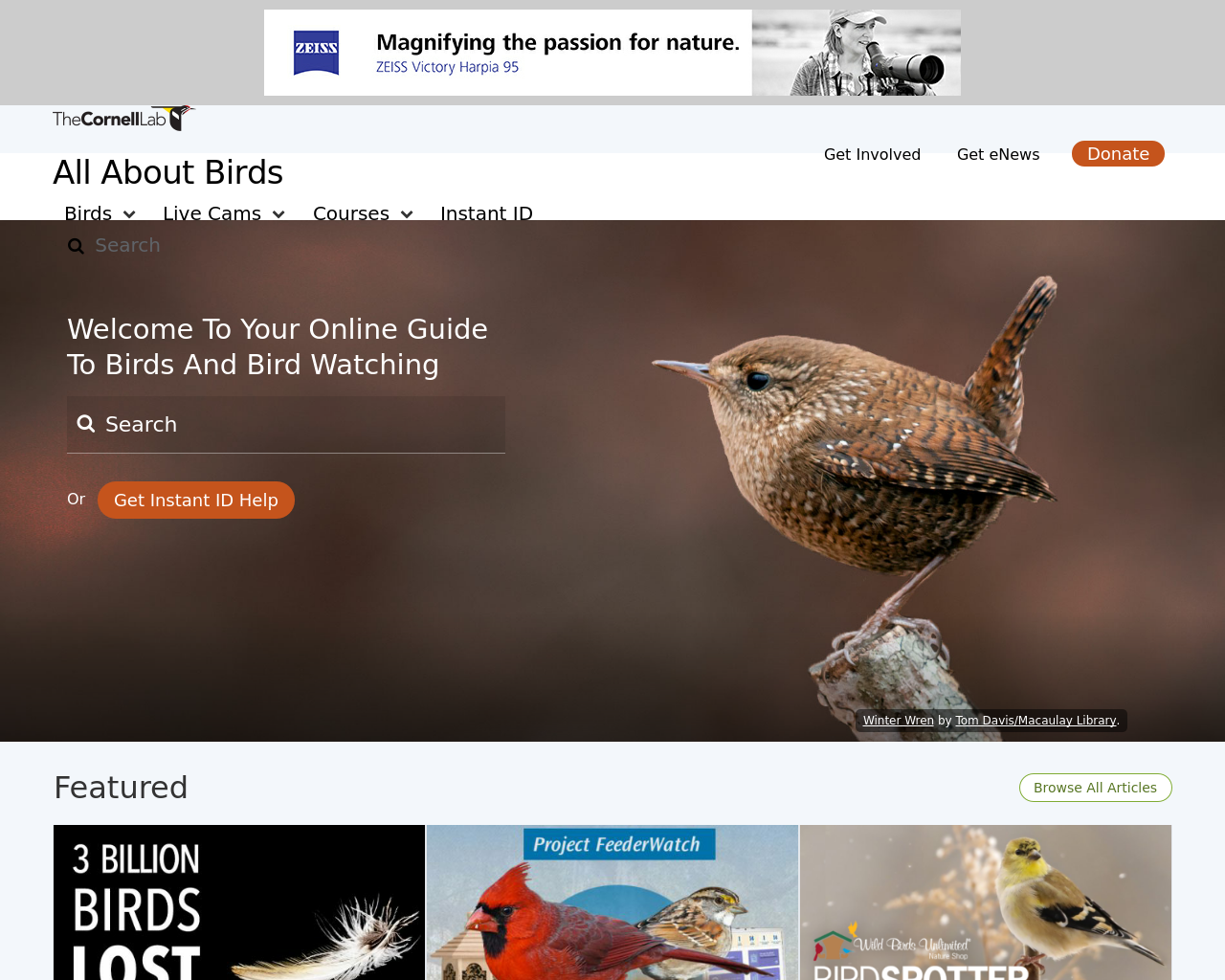 Kochava Media Index - All About Birds Advertising Mediakits, Reviews ...