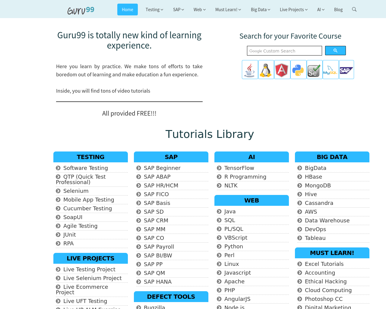 Guru99 Advertising Mediakits, Reviews, Pricing, Traffic, Rate Card Cost